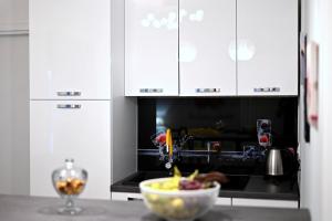 Kuchyň nebo kuchyňský kout v ubytování Studio apartman Sandra, Imotski