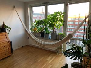 a hammock in the middle of a room with plants at Cozy room in hip central area in Gothenburg