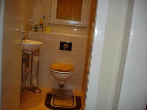 łazienka z toaletą i umywalką w obiekcie Haus Brockenblick w mieście Gehlberg