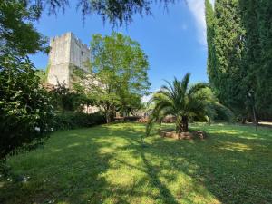 una palmera en un patio con un castillo en Habitación del Emperador, en Bescanó