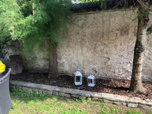 Zahrada ubytování Gästeapartments Rossatz