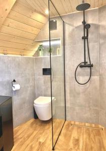 a bathroom with a toilet and a glass shower at Osada Poli - domek 1 in Koniaków