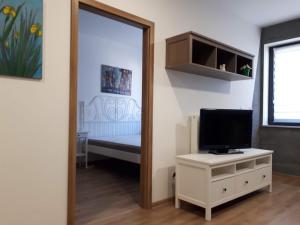 Un dormitorio con un espejo y un televisor sobre una cómoda. en Kosice-centrum apartment, en Košice 7 fotos más