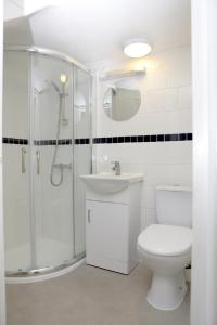 a bathroom with a toilet and a shower and a sink at Abbey View Holiday Flats in Torquay