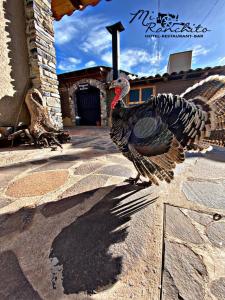 a turkey is walking on the ground in front of a building at Mi Ranchito Chignahuapan Hotel in Chignahuapan