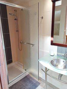 een badkamer met een douche en een wastafel bij DUPLEX "Au Village" 89120 Dicy in Dicy