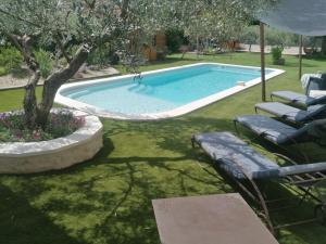 a swimming pool in a yard with chairs and a tree at L'atelier de Guytou et Spa in Cheval-Blanc