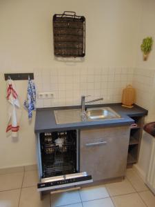 a kitchen with a sink and a dishwasher at FerienAppartement NO.18 in Sangerhausen