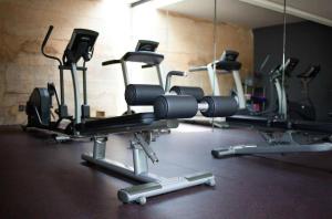 Fitness centrum a/nebo fitness zařízení v ubytování Hotel Bo