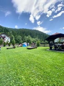 Příroda nedaleko penzionu + 20 fotografií