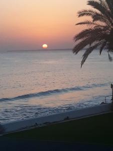 einen Sonnenuntergang über dem Meer mit einer Palme in der Unterkunft SEAFRONT BEACH PARTY VILLA in Perivolia