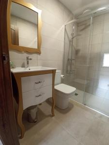 een badkamer met een wastafel, een toilet en een douche bij PEÑAFIEL DREAMS con JACUZZI in Peñafiel