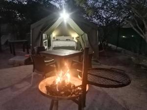 Foto dalla galleria di Yebo Safaris, Glamping Adventures a Skukuza
