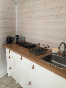 cocina con fregadero y encimera en Maisonnette en pierre indépendante de 20 m2 en Saint-Cirgues-sur-Couze