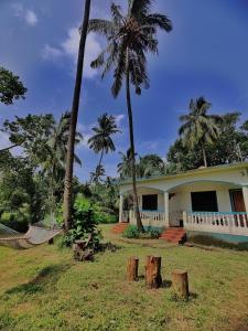 坎多林的住宿－Coco inn Goa，棕榈树的房子,前面设有吊床