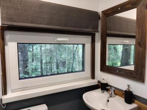 a bathroom with a sink and two windows at Meža māja in Zaķumuiža +23 photos