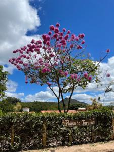 Taman di luar Pousada Tarumim