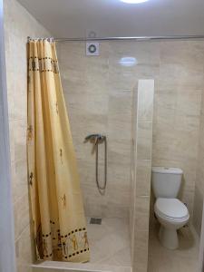 een badkamer met een douchegordijn en een toilet bij Вилла ALEX in Vinnytsya +107 foto's