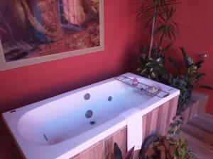 Pousada Princesa Do Vale في Belo Vale: حوض استحمام أبيض في غرفة حمراء مع نباتات