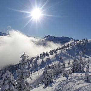 Luxury Chalet Mauthner Alm v zimě