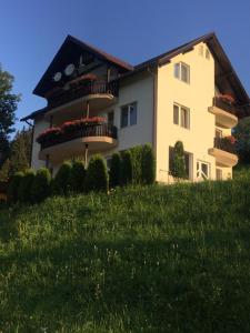 a large house with a balcony on top of a lawn at Vila Eduard in Fundata