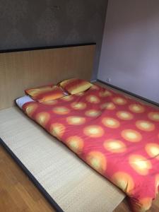 a bed with a colorful blanket on top of it at Chambre double Futon et Chambre Classique au coeur du Vercors in Saint-Agnan-en-Vercors