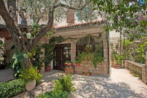 a building with a bunch of plants in it at Guest House Maslina in Petrovac na Moru