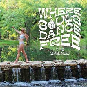 Afbeelding uit fotogalerij van The Springs Retreat in Leakey