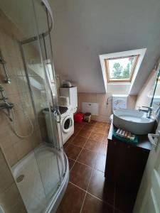 uma casa de banho com um chuveiro e um lavatório. em Sunshine Apartment Velence em Velence