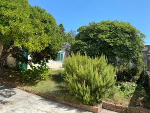 Zahrada ubytování Ferienwohnung Zadar-City