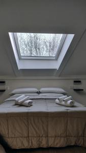 a bedroom with a large bed with a skylight at Bergamo & Dintorni in Bergamo