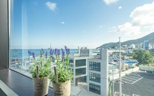 a balcony with two potted plants and a view of a city at Songjeong Blue Castle Hotel in Busan