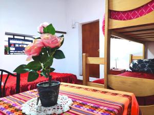 Setusvæði á Cuzco Central Hostel
