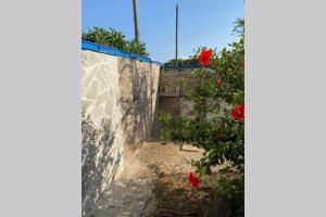 プンタ・プロシュートにあるVilla Palma a 80m dal mareのギャラリーの写真