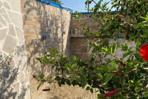 プンタ・プロシュートにあるVilla Palma a 80m dal mareのギャラリーの写真 +14枚の写真