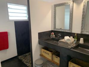 W łazience znajduje się umywalka i lustro. w obiekcie Maison d'hôtes Côté Lagon w mieście Saint-Pierre