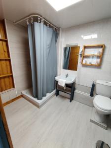 a bathroom with a toilet and a sink and a shower at Hôtel Saint - Pierre in Villedieu-les-Poêles