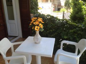 Zahrada ubytování Hotel Comodoro