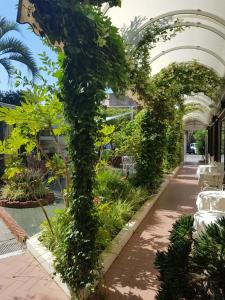 Zahrada ubytování Park Hotel Castello