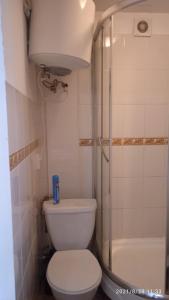 a small bathroom with a toilet and a shower at Hostel Yasen in Perm