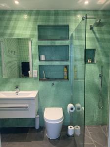 a bathroom with a shower and a toilet and a sink at Beautiful Tenby House, pets allowed in Tenby