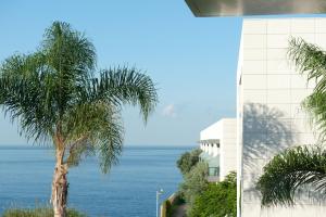 a palm tree next to a building and the ocean at Golden Residence Hotel in Funchal