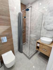 a bathroom with a shower and a toilet and a sink at Wood Apartment in Odesa