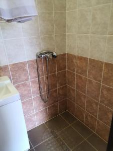 Kúpeľňa v ubytovaní Birs Vendégház