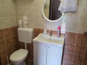 Kúpeľňa v ubytovaní Birs Vendégház
