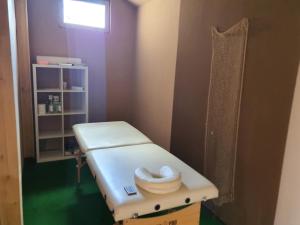 Kúpele alebo wellness v ubytovaní Birs Vendégház