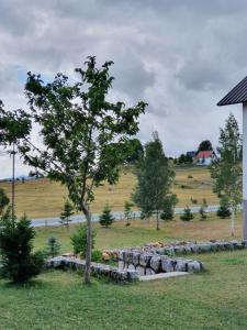 Zdjęcie z galerii obiektu Apartmani Stari Gaj w mieście Žabljak