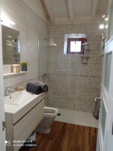 a bathroom with a toilet and a sink and a shower at Casa La Cañada in Santiago del Teide