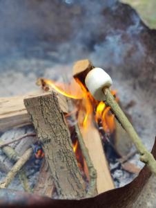 un malvavisco encima de un fuego en el campamento en Kwadijkerbos, en Kwadijk