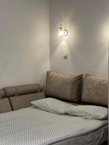 a bedroom with a bed and a couch and a light at Apartment near Opera in Lviv